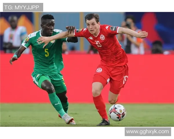 突尼斯与尼日利亚比赛前瞻及外界预测分析详解